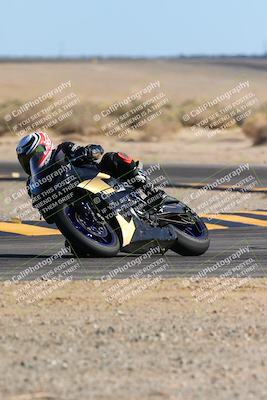 media/Feb-04-2024-SoCal Trackdays (Sun) [[91d6515b1d]]/10-Turn 16 (145pm)/